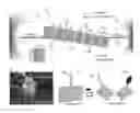 Fig. 01 - Mechanochemical platform and sensing methods using DNA origami nanostructures