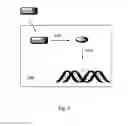 Fig. 02 - Modified Nucleic Acid Binding Cyanine Dyes for the Detection of Reactive Oxygen Species