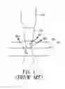 Fig. 02 - Image processing method of two-photon structured illumination point scanning microscopy