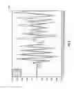 Fig. 06 - Peak analysis of ultrasonic waveforms for cement bond logging