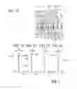 Fig. 02 - Imaging optical system and optical apparatus including the same