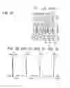 Fig. 08 - Imaging optical system and optical apparatus including the same