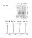Fig. 09 - Imaging optical system and optical apparatus including the same