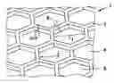 Fig. 01 - Component and optical element with antifogging properties