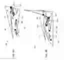 Fig. 10 - NEAR-EYE DISPLAY SYSTEM