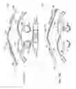 Fig. 20 - NEAR-EYE DISPLAY SYSTEM