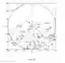 Fig. 23 - Method of modifying an dioptric function of an ophthalmic lens surface