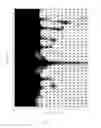 Fig. 02 - Electrode applicable in liquid crystal display, array substrate, display panel and display device