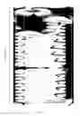 Fig. 09 - Electrode applicable in liquid crystal display, array substrate, display panel and display device