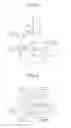 Fig. 06 - Display device having cyclically-arrayed sub-pixels