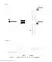 Fig. 04 - Method of producing polarizing light-emitting film using photoluminescent ferroelectric liquid crystal molecules and liquid crystal display comprising the same