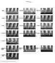 Fig. 02 - Additive and resist underlayer film-forming composition containing the same