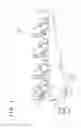 Fig. 02 - Image forming apparatus that adjusts image forming conditions