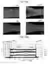 Fig. 16 - Stepping motor, timepiece movement, timepiece, and manufacturing method of stepping motor
