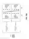 Fig. 16 - SYSTEM AND METHOD FOR PAGE-BY-PAGE MEMORY CHANNEL INTERLEAVING