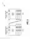 Fig. 07 - SYSTEM AND METHOD FOR MEMORY CHANNEL INTERLEAVING USING A SLIDING THRESHOLD ADDRESS