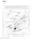 Fig. 03 - HISTORICAL REPRESENTATION IN GAZE TRACKING INTERFACE