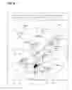 Fig. 04 - HISTORICAL REPRESENTATION IN GAZE TRACKING INTERFACE