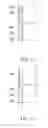 Fig. 04 - TOUCH DISPLAY PANEL AND PIXEL STRUCTURE