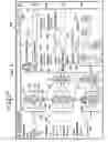 Fig. 07 - Method and Apparatus for Dynamically Organizing a Tree Structure