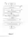 Fig. 19 - User interface tools for cropping and straightening image