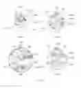 Fig. 10 - Semantic zoom preview method and electronic device