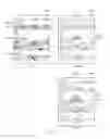 Fig. 12 - Semantic zoom preview method and electronic device