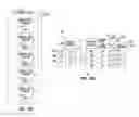 Fig. 04 - Logical address history management in memory device