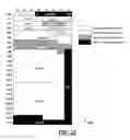Fig. 12 - Implied directory state updates