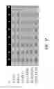 Fig. 11 - High performance interconnect physical layer