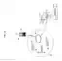 Fig. 05 - Sensory allegiance