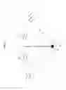 Fig. 09 - Sensory allegiance