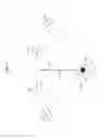 Fig. 10 - Sensory allegiance
