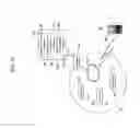 Fig. 16 - Sensory allegiance