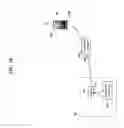 Fig. 19 - Sensory allegiance