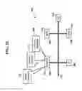 Fig. 23 - Sensory allegiance