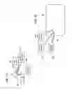 Fig. 24 - Sensory allegiance