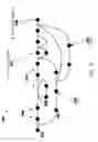 Fig. 13 - Biological graph or sequence serialization