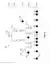 Fig. 06 - Ordering heterogeneous operations in bulk processing of tree-based data structures