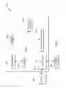 Fig. 05 - Joining operations in document oriented databases