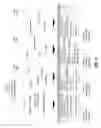 Fig. 07 - Cluster mapping based on measured neural activity and physiological data