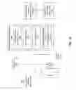 Fig. 15 - Cluster mapping based on measured neural activity and physiological data