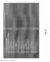 Fig. 06 - CONTEXTUAL FEATURE SELECTION WITHIN AN ELECTRONIC DATA FILE
