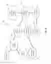 Fig. 12 - CONTEXTUAL FEATURE SELECTION WITHIN AN ELECTRONIC DATA FILE