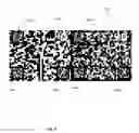Fig. 12 - Storing and retrieving cryptographic keys from biometric data