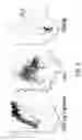 Fig. 08 - Continuous authentication of mobile device users
