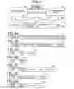 Fig. 03 - Information processing device