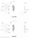 Fig. 08 - Methods and devices for eye tracking based on depth sensing