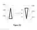 Fig. 09 - Methods and devices for eye tracking based on depth sensing