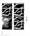 Fig. 09 - PALM VEIN-BASED LOW-COST MOBILE IDENTIFICATION SYSTEM FOR A WIDE AGE RANGE